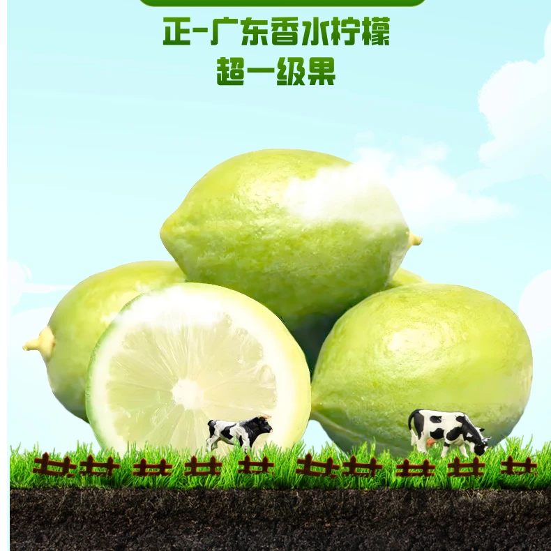 【家庭推荐】香水柠檬超一级果（鲜果，送货上门）新鲜多汁青柠檬