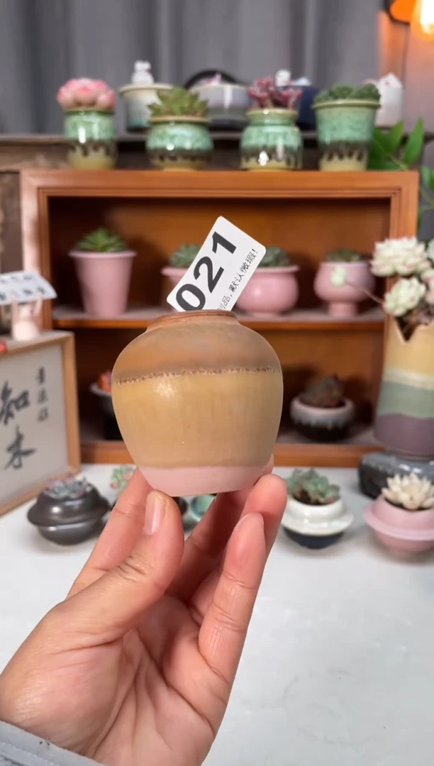 瓷片021小芳直播编号