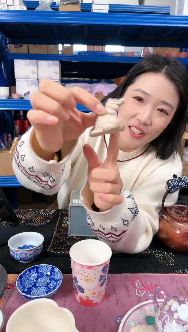 【闪购商品】鳄鱼茶宠 礼盒装