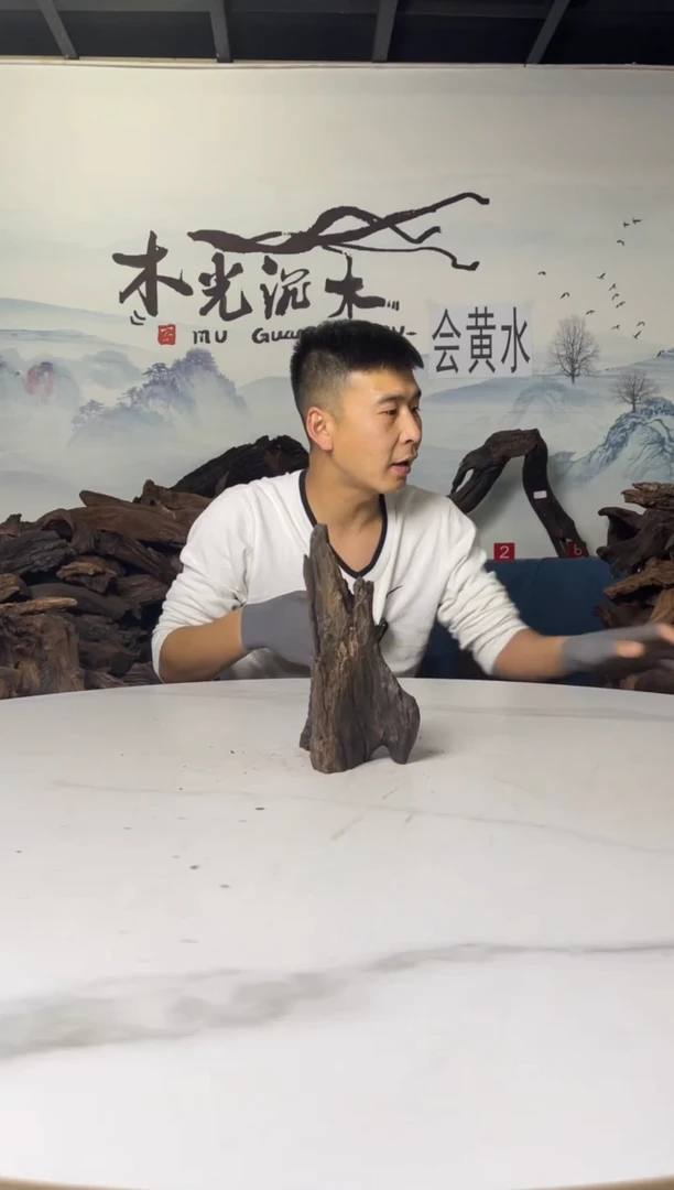 a570木光沉木木光沉木570