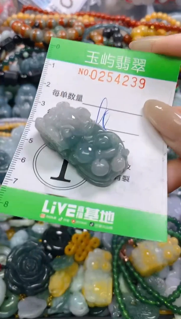颈饰未镶嵌翡翠闪购0254239