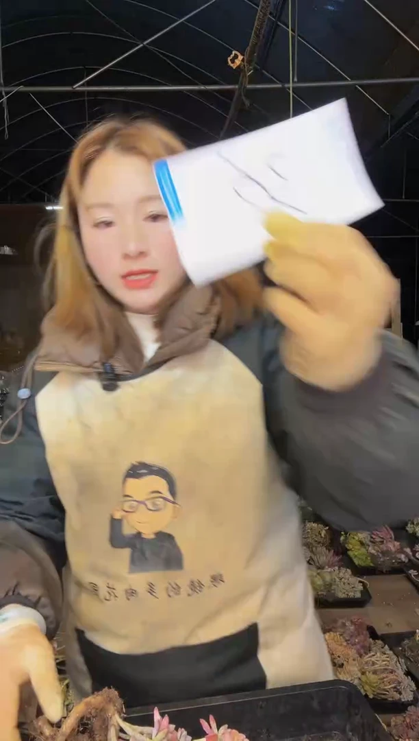 【闪购商品】36号一物一拍默认微瑕不售后