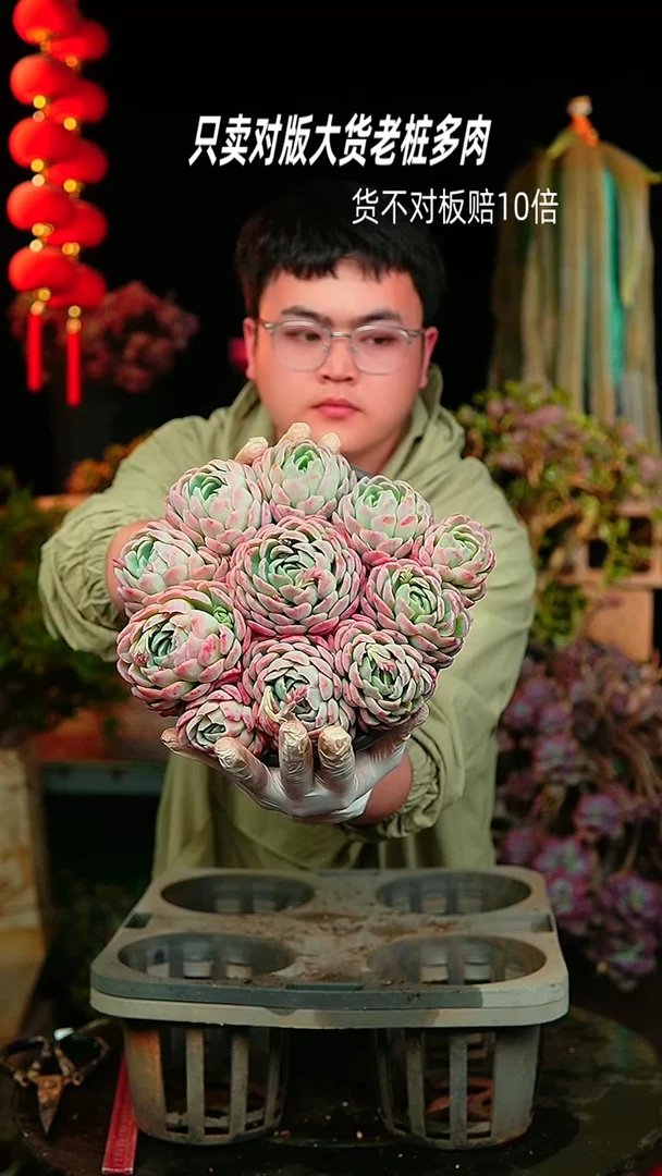 【闪购商品】27号香水贝瑞