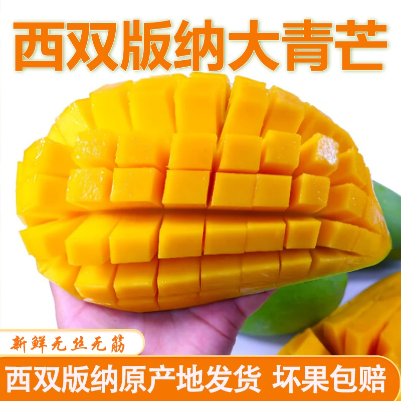 【傣家种植】西双版纳大青芒 生吃脆爽 熟吃鲜甜傣族种植青皮大芒果