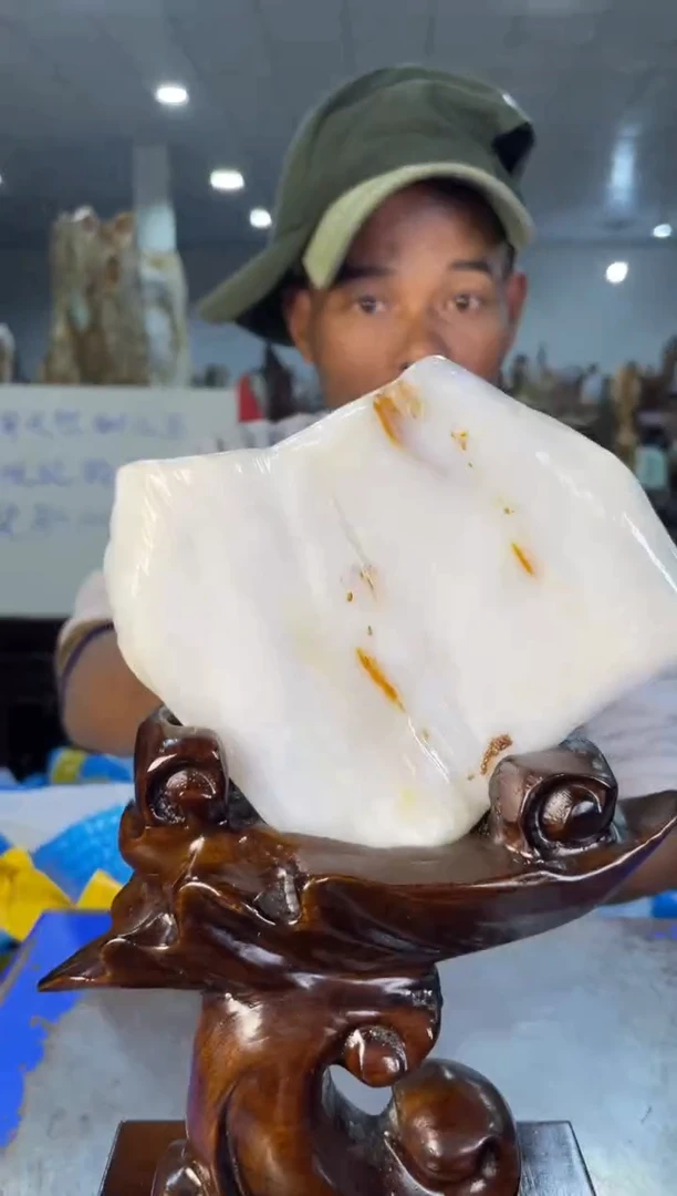 未镶嵌摆件硅化玉10