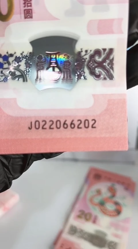 【闪购商品】塑料蛇钞单张号码022066202