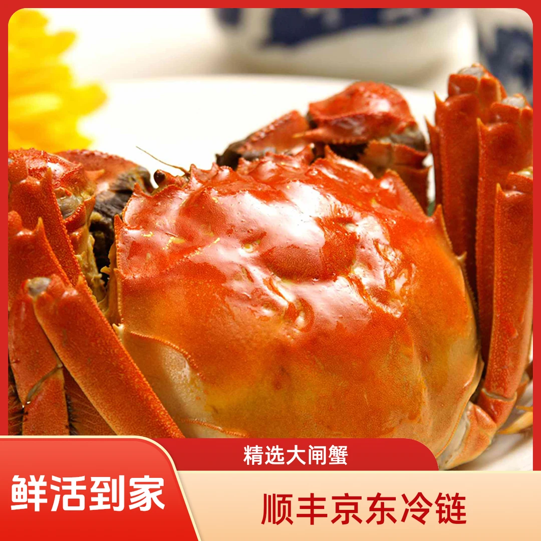 活蟹】 精品大闸蟹  全母2两买8只送两只到手10只 顺丰京东包邮