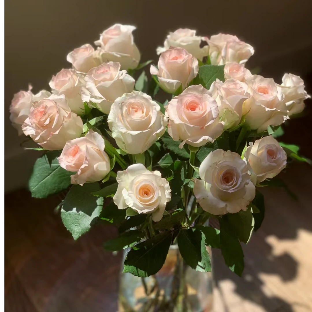 【小白兔+香水百合+折射+风铃套餐】【0度以下请拍保温棉】