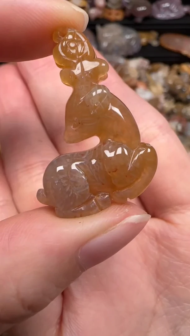 硅化珊瑚（珊瑚玉）未镶嵌颈饰718