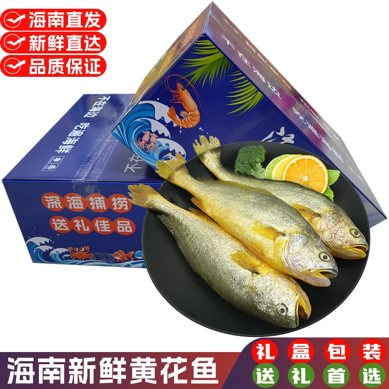 【空运】海南新鲜黄花鱼整条大鱼冷冻水产海鲜黄鱼2斤3斤5斤礼盒装