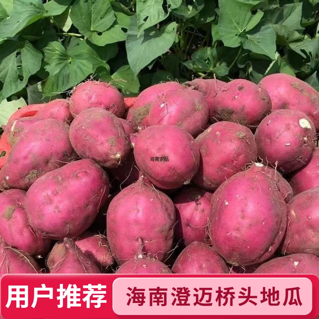 正宗海南澄迈桥头富硒地瓜沙地板栗红薯糖心番薯圆果新鲜现挖现发