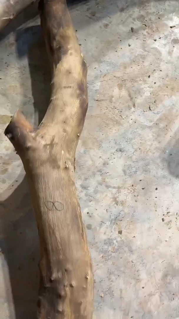 九*缘阿祥金丝楠木定向链接