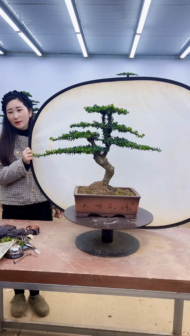 无花朵一物一拍，所见即所得