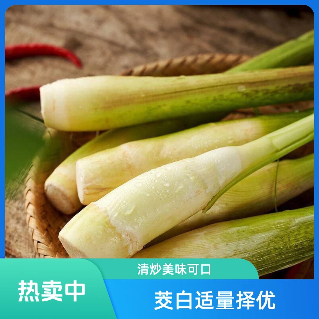 茭白300G左右绿色蔬菜新鲜蔬菜