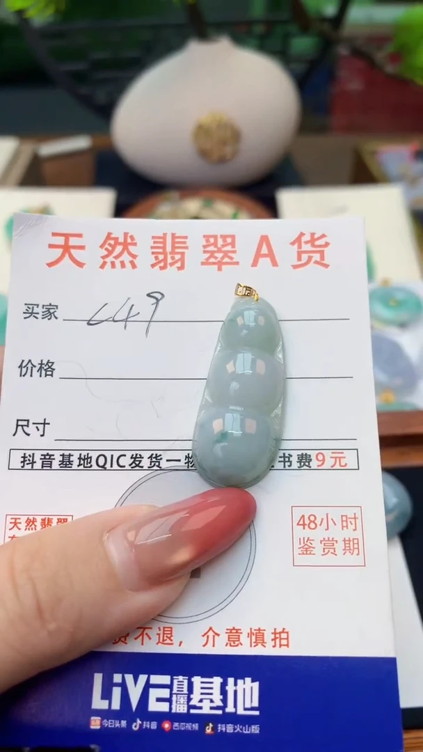 颈饰未镶嵌翡翠天然A货翡翠挂件
