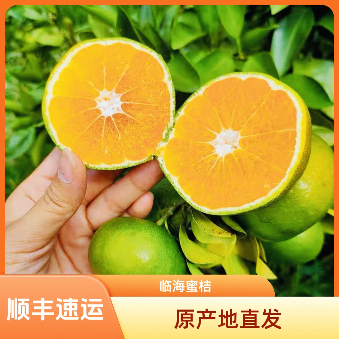 【正宗临海涌泉蜜桔】新鲜橘子现摘当季孕妇皮薄厂产地直发顺丰速运浙江省