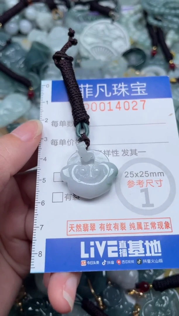 颈饰未镶嵌翡翠14027