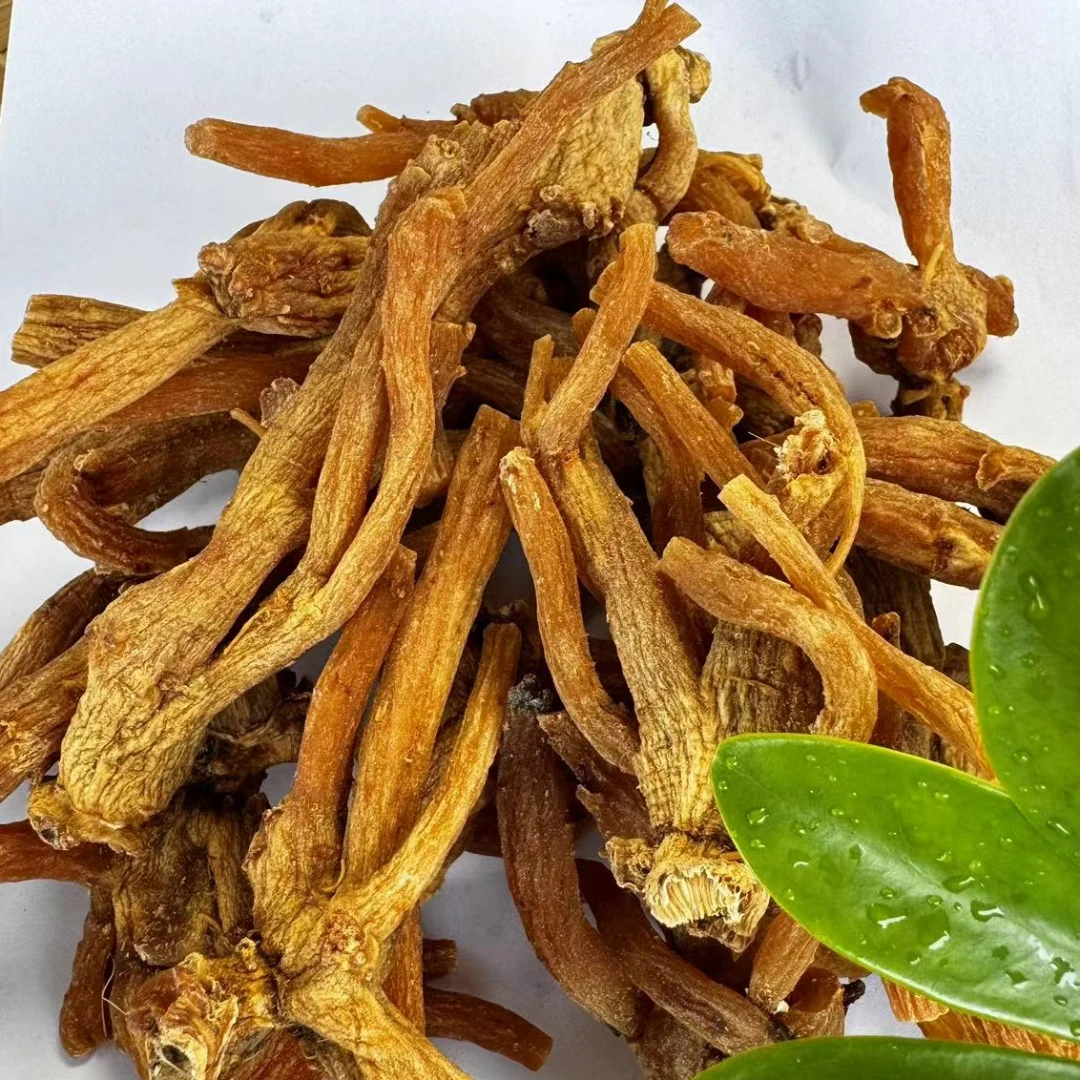 （小雪收山货）龙-爪-参 100克-500克