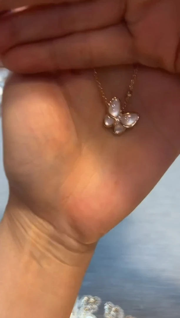 弟杯杯杯杯杯杯杯杯杯杯杯杯