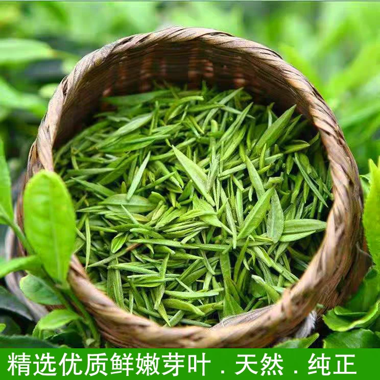 2025新茶雨前春茶胜峰毛尖绿茶红茶高山云雾浓香茶叶