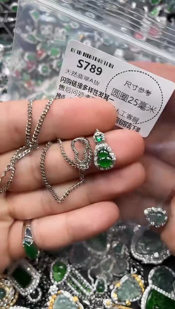 翡翠未镶嵌颈饰S789项链