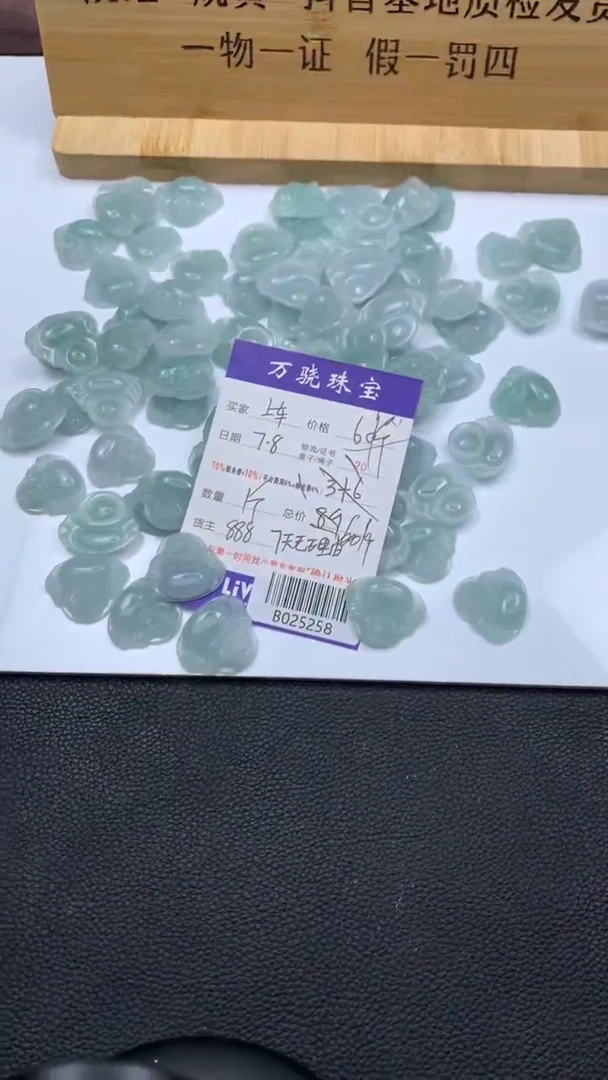 翡翠未镶嵌颈饰多样性发其一  B018169