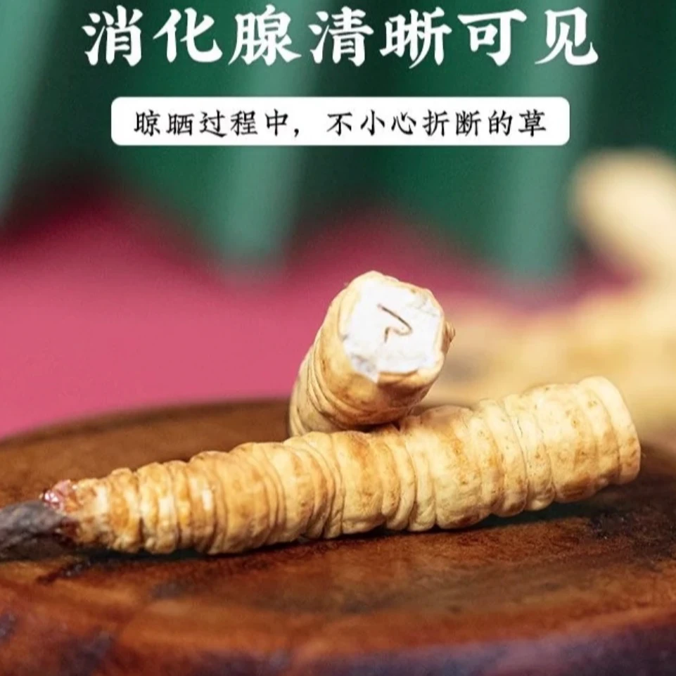 【藏区头期断草】干草藏区虫草正宗雪山滋补高性价比自用支持试吃