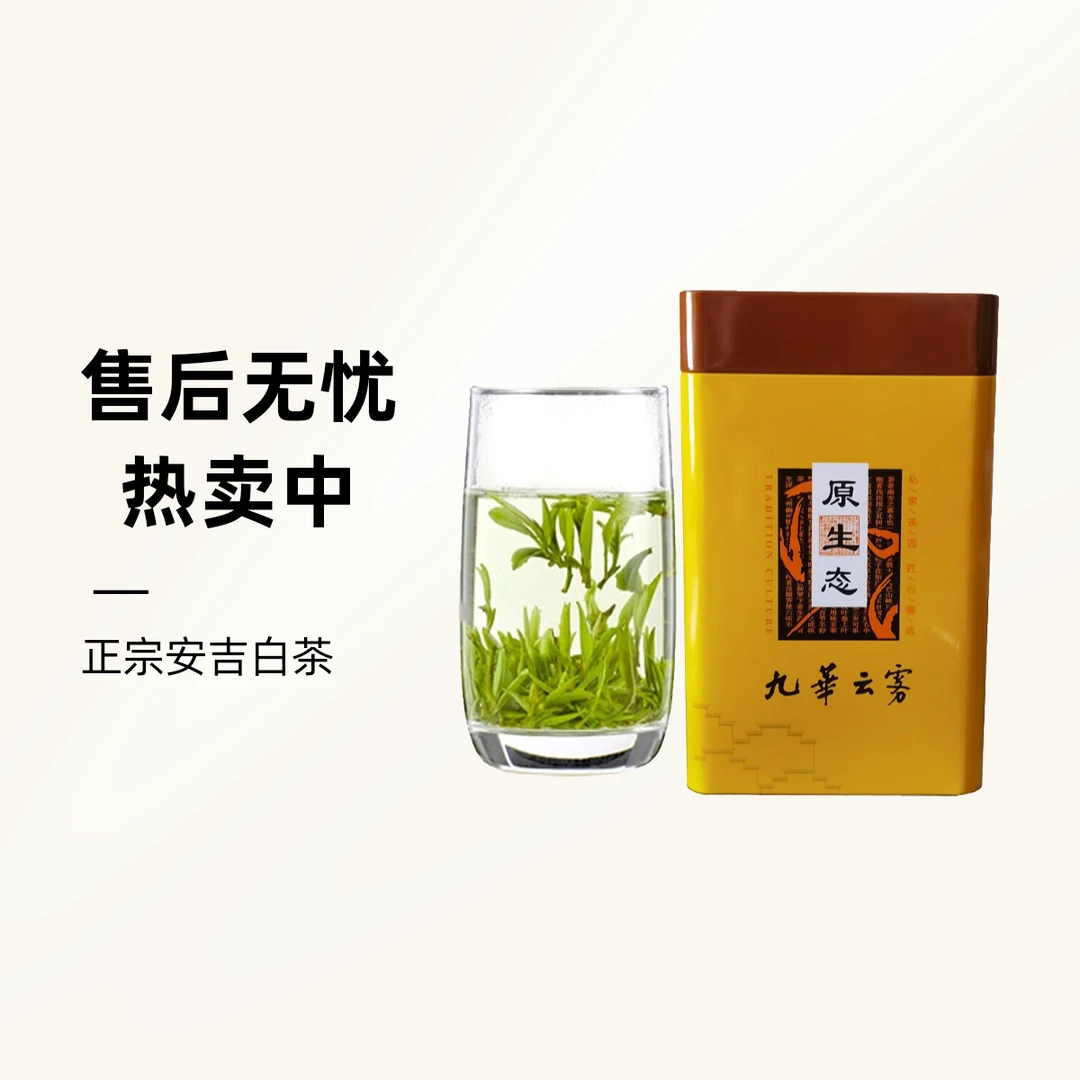 九华山毛峰香醇绿茶2025年新茶黄石溪茶叶九华佛茶云雾茶250克