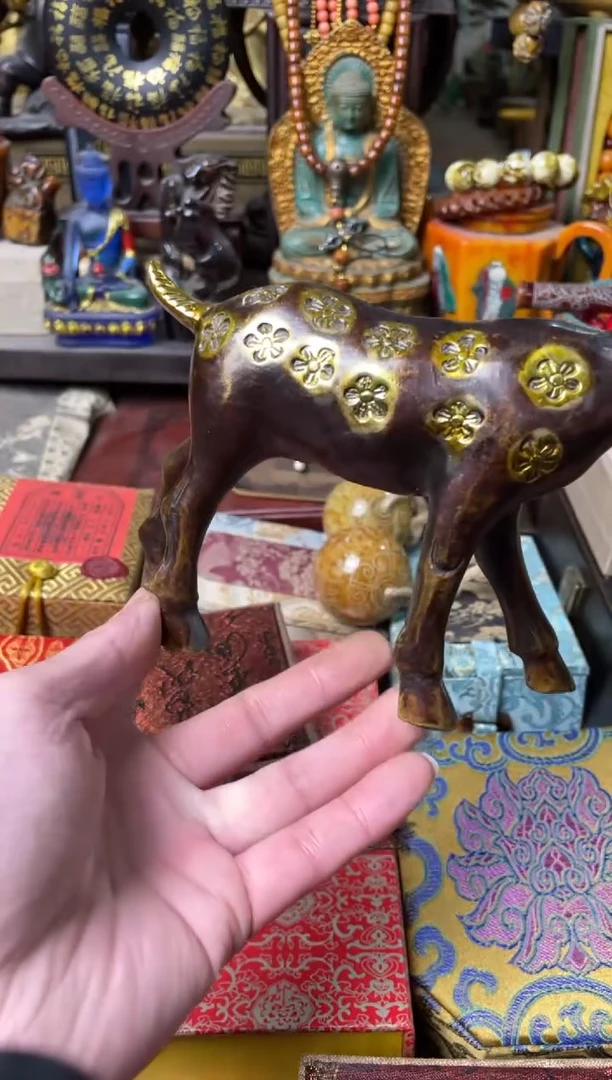 【闪购商品】主播推荐主播推荐
