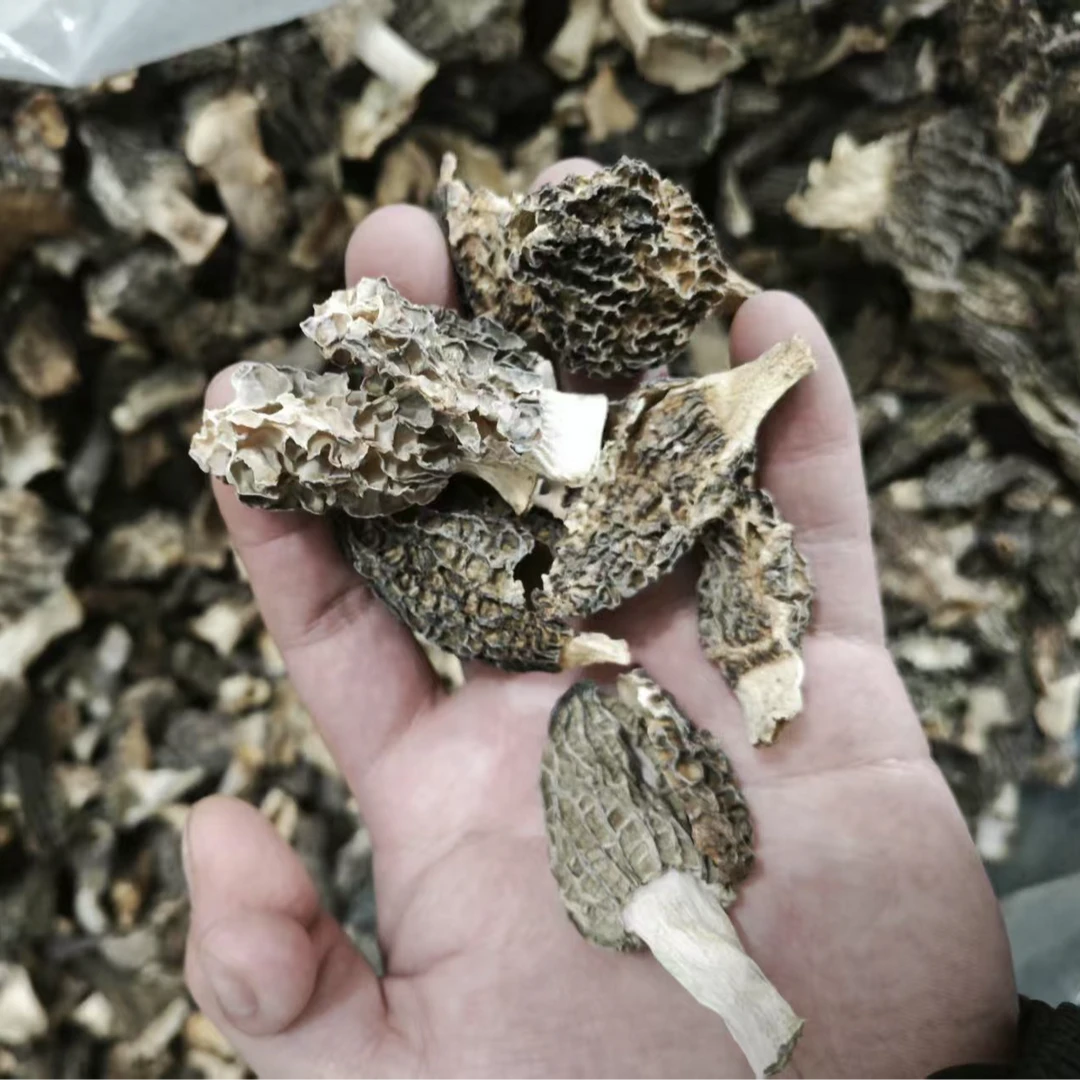 25年羊肚菌干货碎片馅料