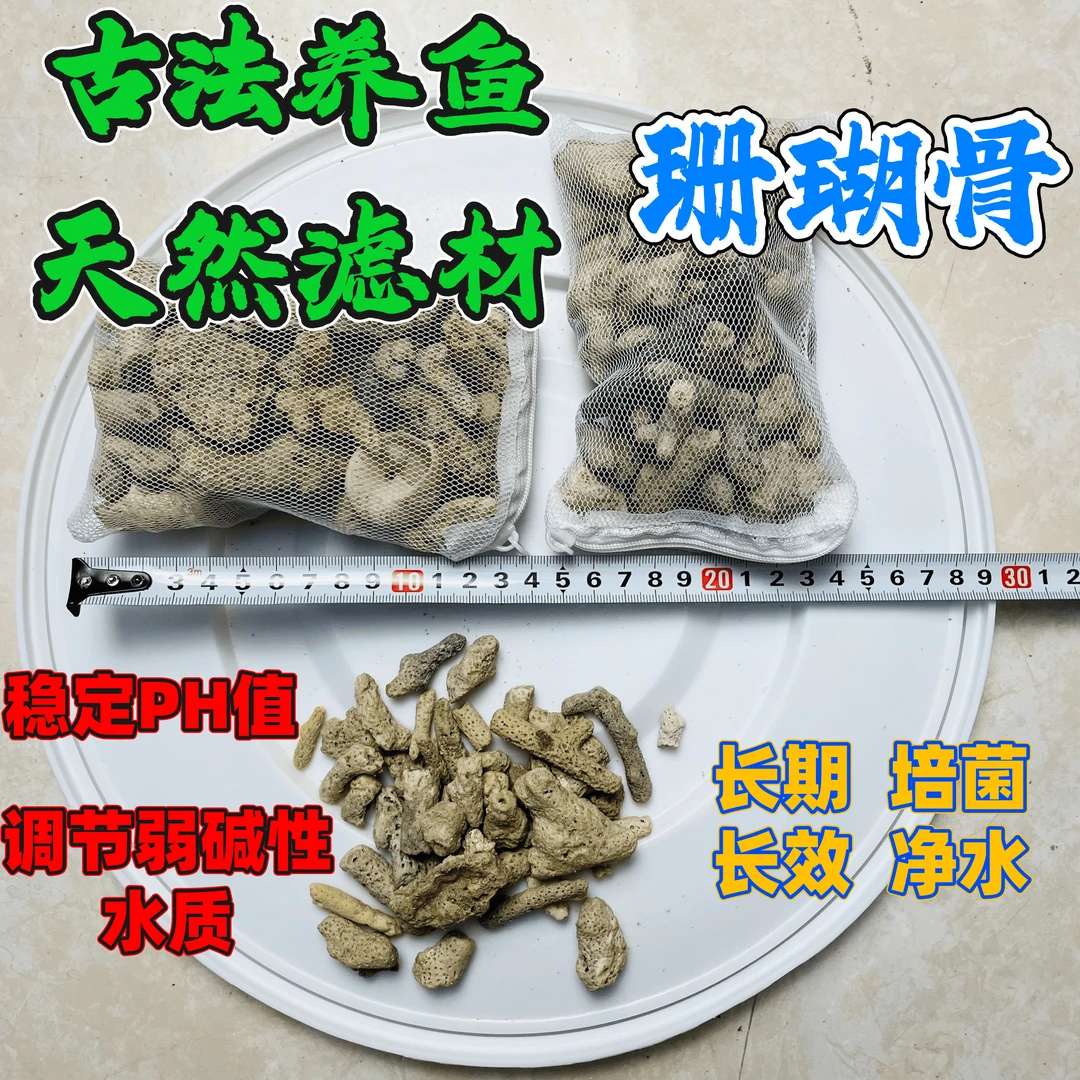 养鱼培菌 珊瑚骨滤材 调节水质PH值弱碱性天然滤材海水超能净水