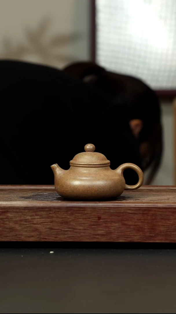 茶壶紫砂黄金段柴烧 容天