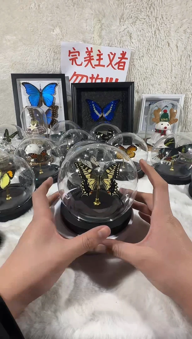 木金凤蝶水晶球