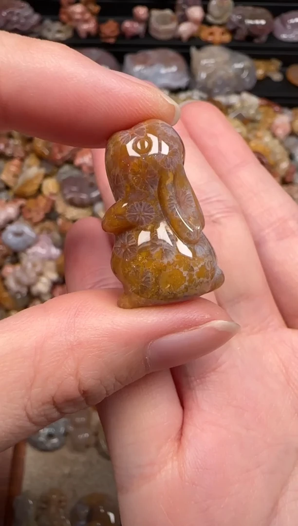 硅化珊瑚（珊瑚玉）未镶嵌颈饰698