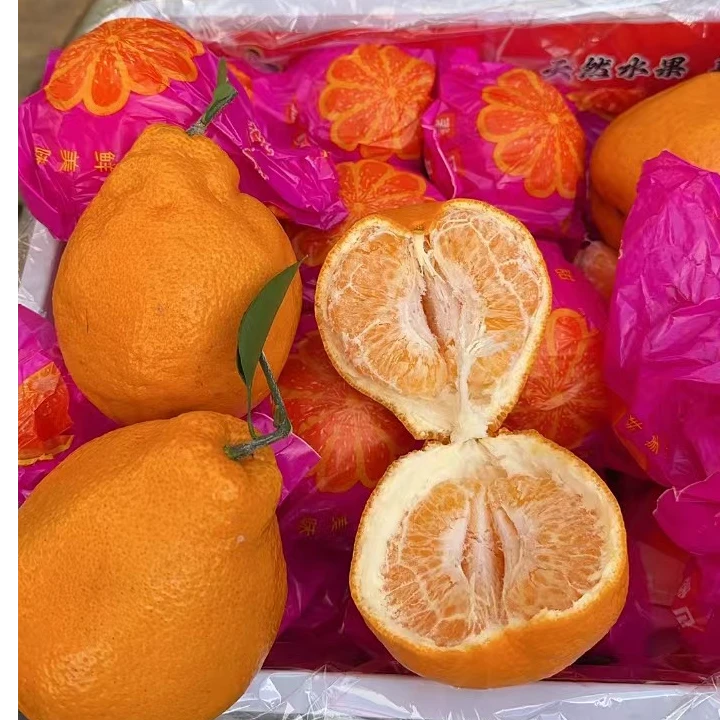 川宝春见耙耙柑【5斤±2】【顺丰次日达】