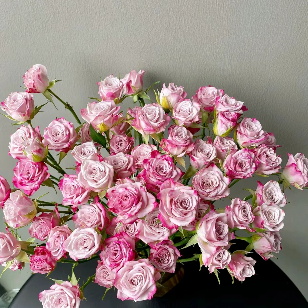 【福利优惠套餐】套餐A11 云南基地鲜花 基地直发