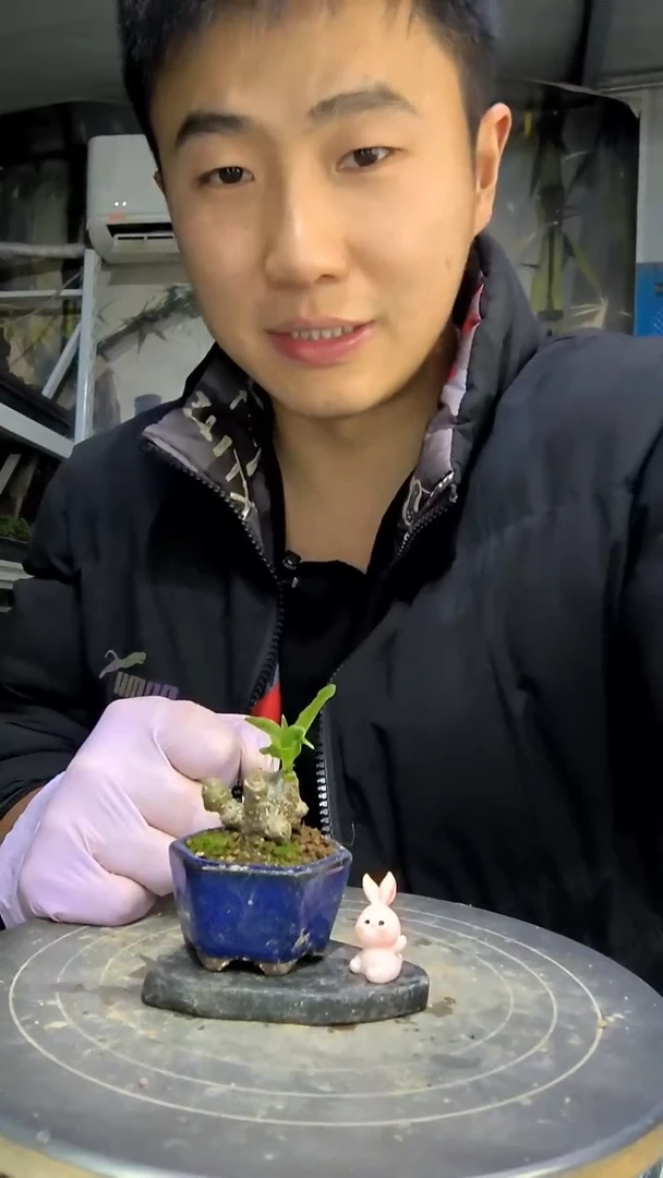 ?**?中青园艺一物一拍花151