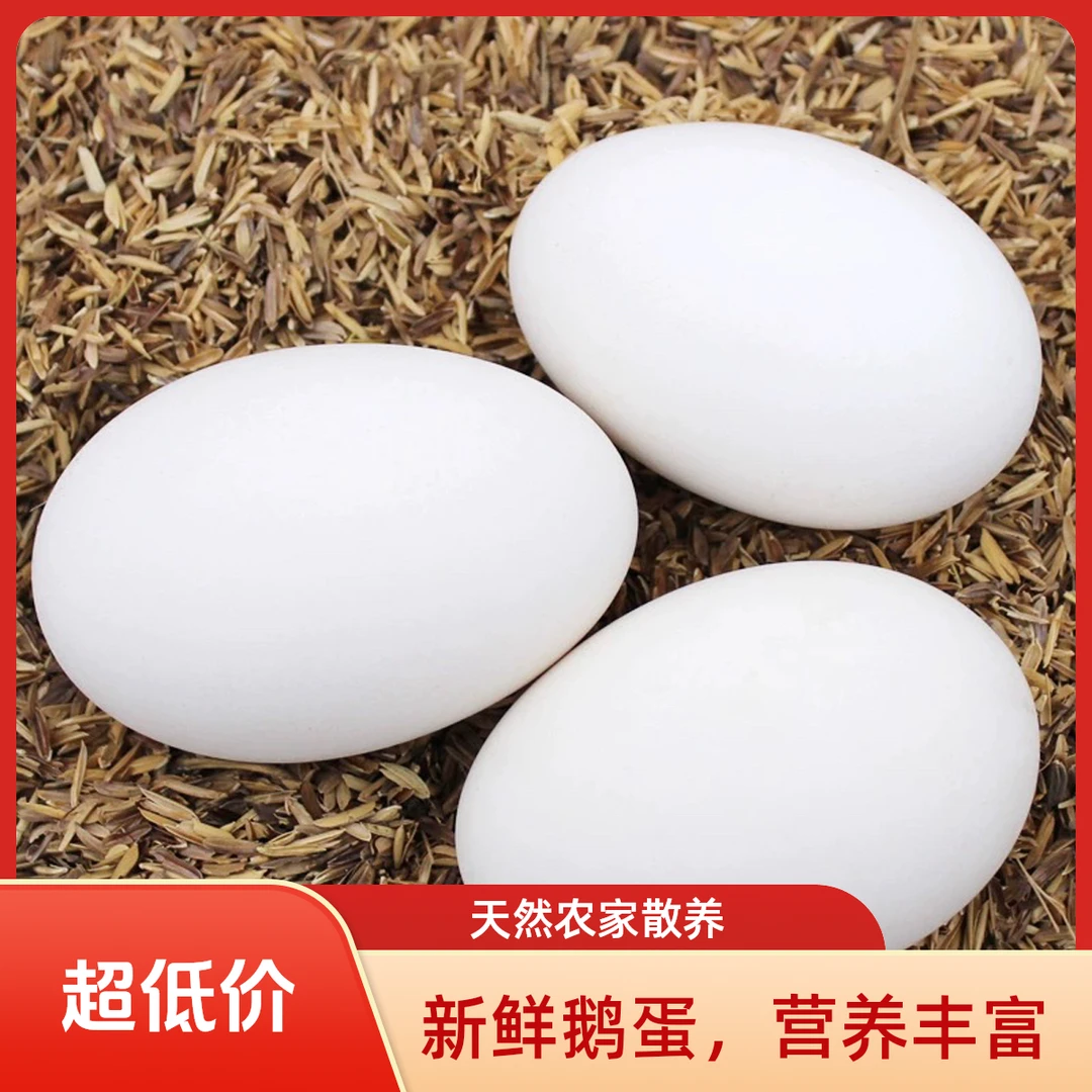 顺丰 次日达 山东莱阳鹅蛋 散养土鹅蛋 120g左右 12枚