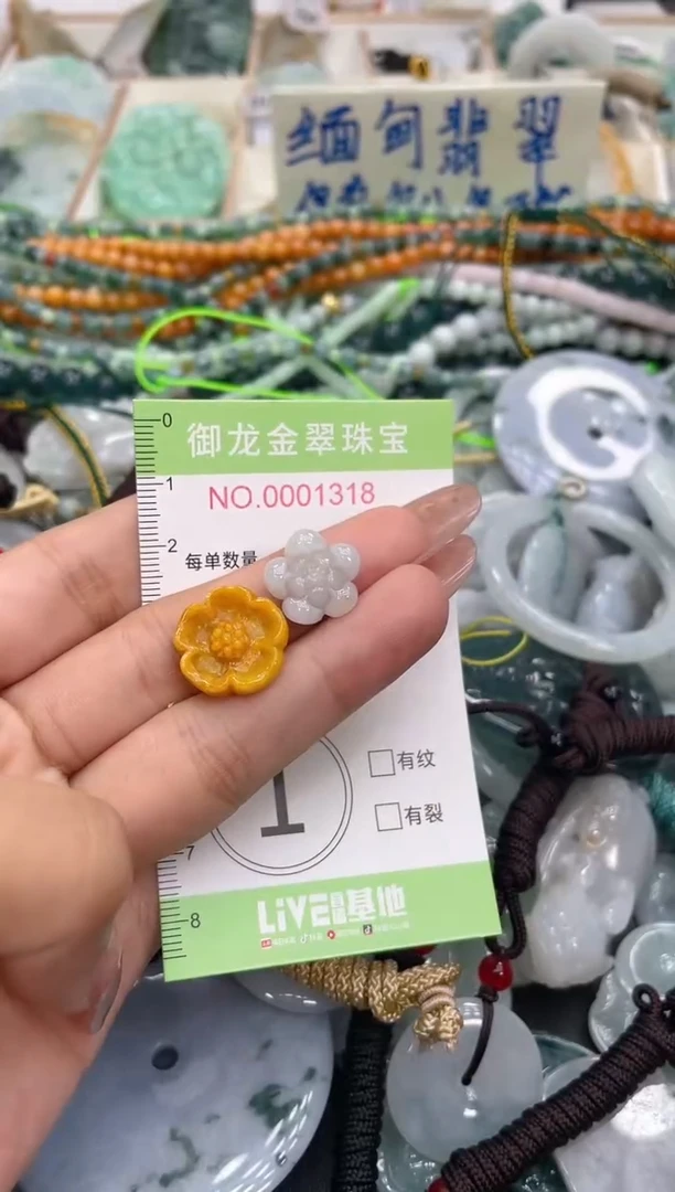 颈饰未镶嵌翡翠034