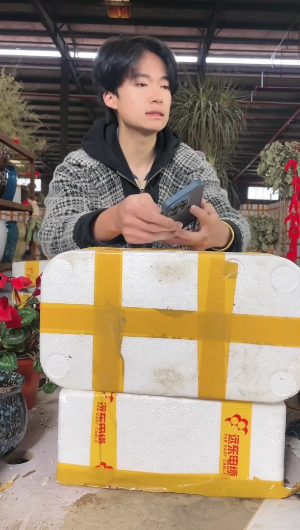 【闪购商品】红陶youxi2