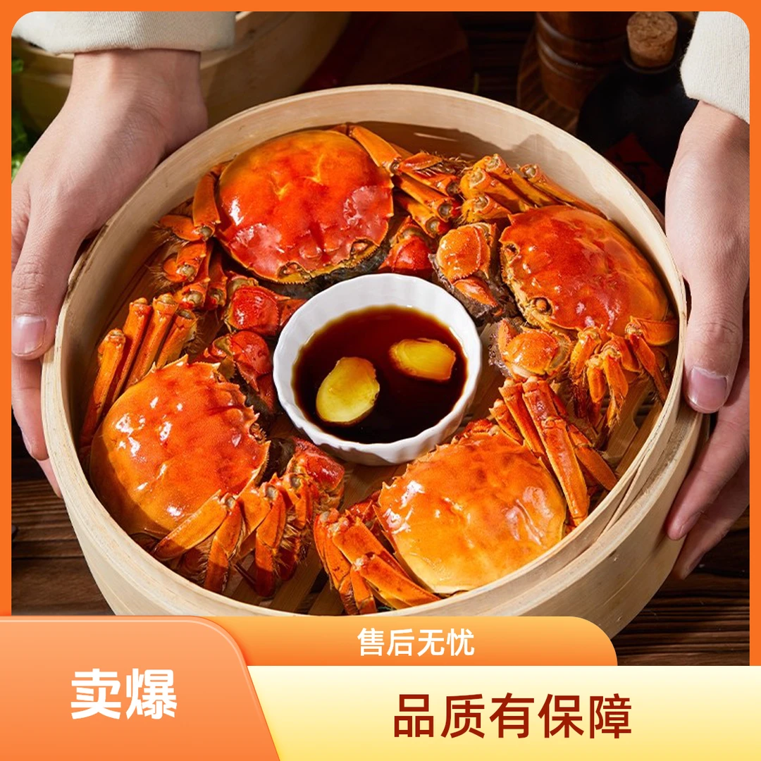 【活蟹】江苏大闸蟹 全母蟹4.5-4.2两 8只送2只 礼盒装 京东顺丰冷链