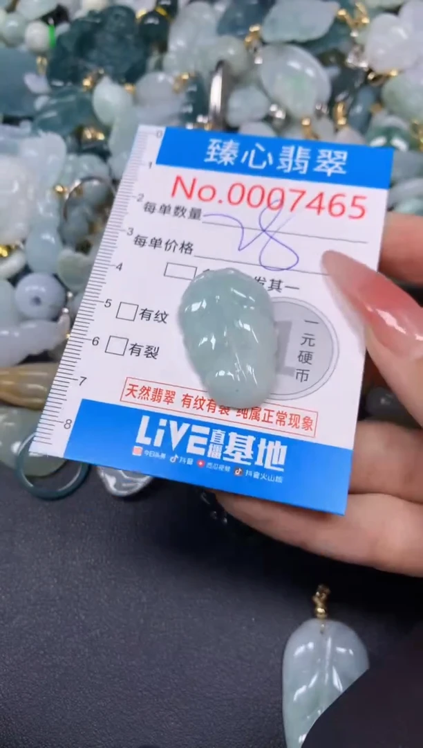 【闪购商品】翡翠颈饰未镶嵌含绳0007465