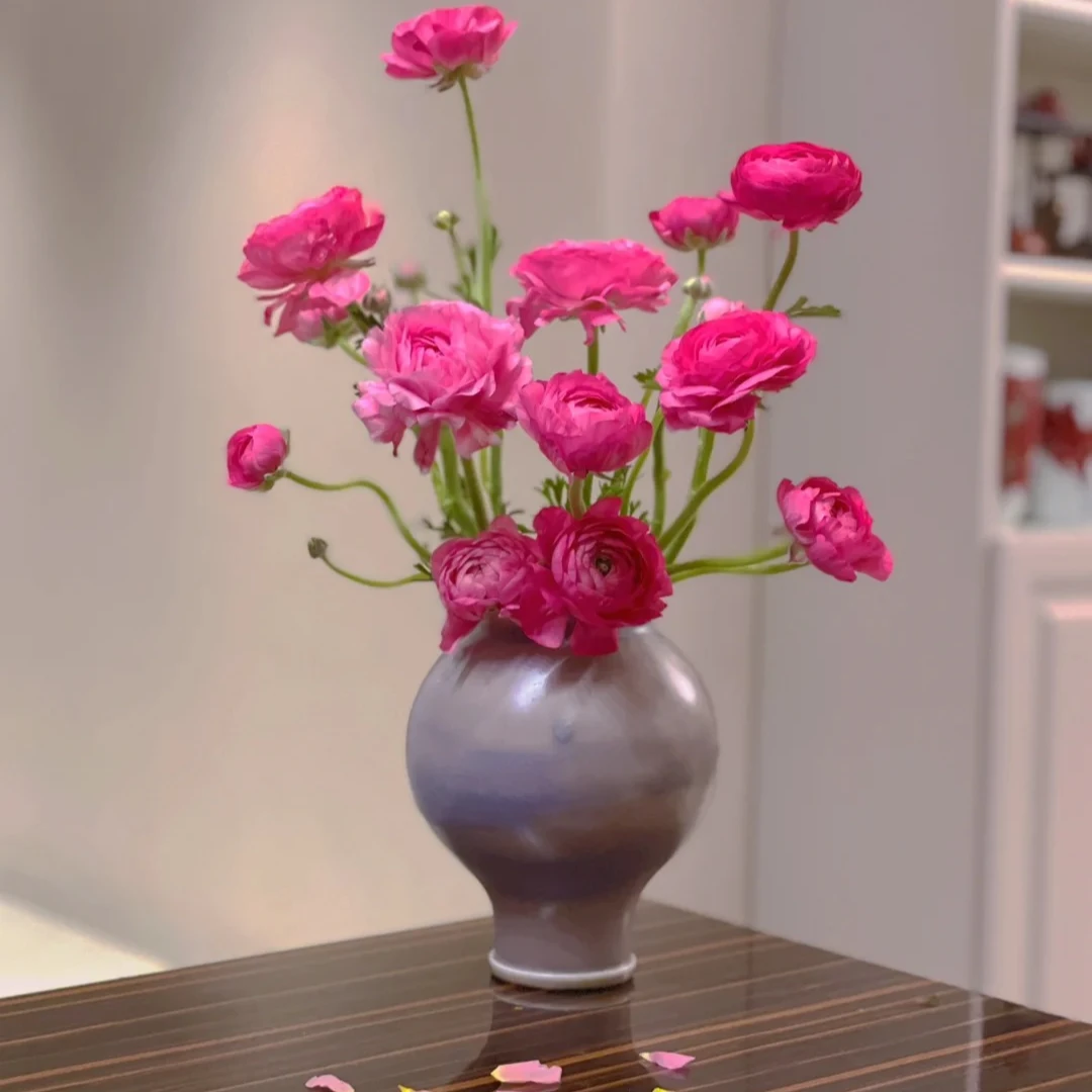 桃红色洋牡丹   婵之语优选   小众高级花材