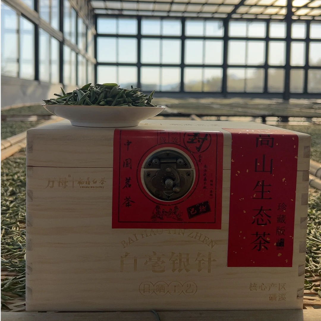 万母2025年头采老树白毫银针特级磻溪茶园传统工艺采摘抛荒银针