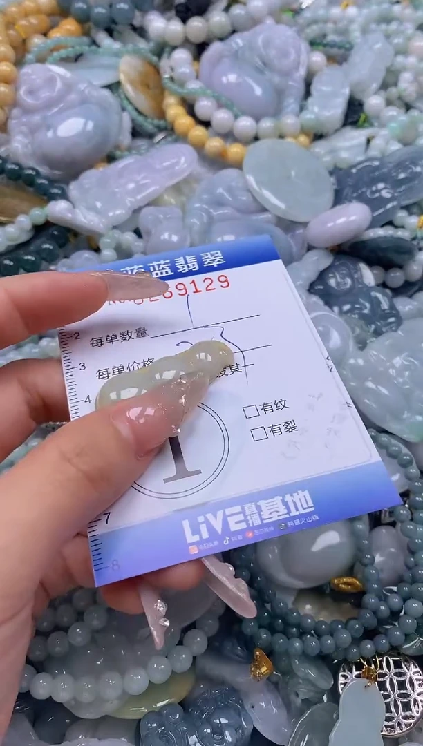 翡翠未镶嵌颈饰闪购0269129