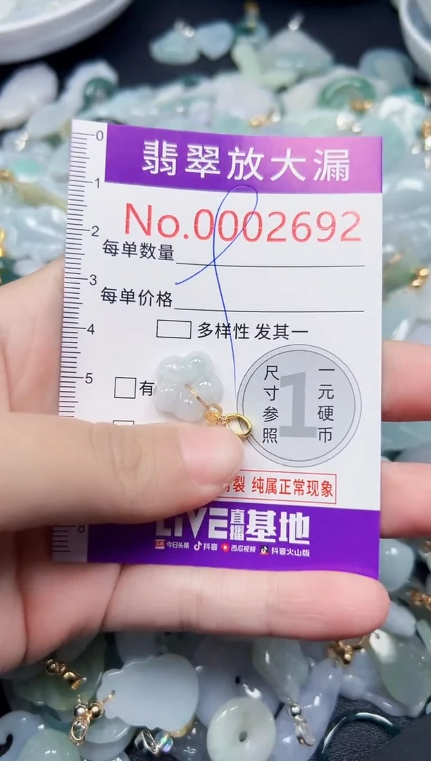 颈饰未镶嵌翡翠2692