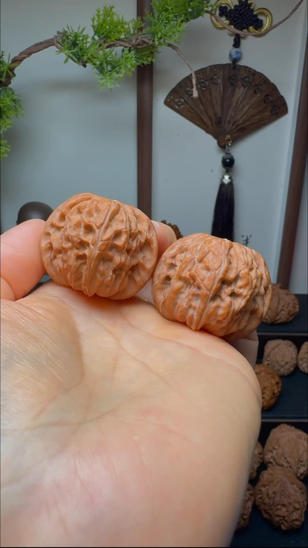 把件文玩核桃正磨货头 磨盘狮子头货头 边37