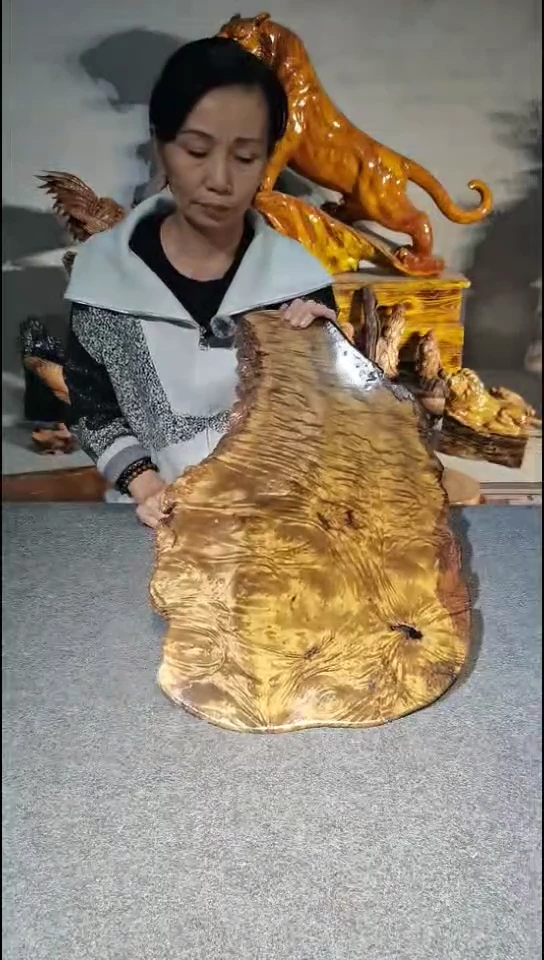 木毛****号黄金樟，60-38-