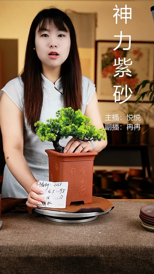 紫砂花盆花卉工艺3058