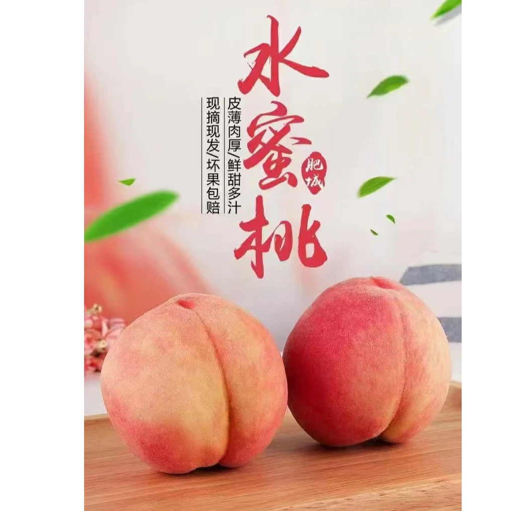 正宗金秋蜜水蜜桃9个装5斤顺丰包邮